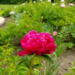 Meet your Posher, Chrissy